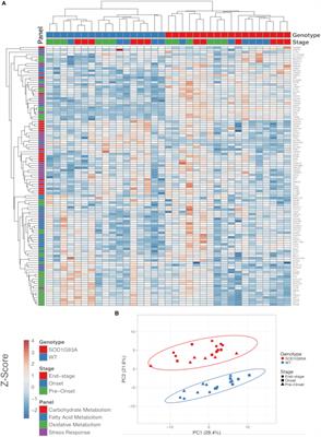 Metabolic and Stress Response Changes Precede Disease Onset in the Spinal Cord of Mutant SOD1 ALS Mice